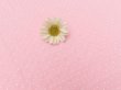 画像6: Pindots Pink (6)