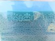 画像4: Trim Lace Green 10yard (4)