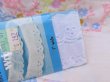 画像4: Flat Eyelet Lace White (4)