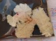 画像5: Chiffon Poodle Vinyl Cover Black (5)
