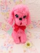 画像1: Kuddles Pink Poodle (1)