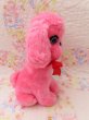 画像4: Kuddles Pink Poodle (4)