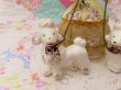画像10: Lady&2Poodles Figurine (10)