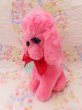 画像5: Kuddles Pink Poodle (5)