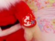 画像7: ty Beanie Buddy Santa (7)