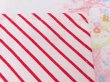 画像4: Candy Stripe Kitchen Towel (4)