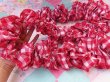画像6: New Gingham Check Gather Garland Red (6)