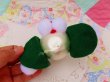 画像6: Silk Ball Poodle Green Ear (6)