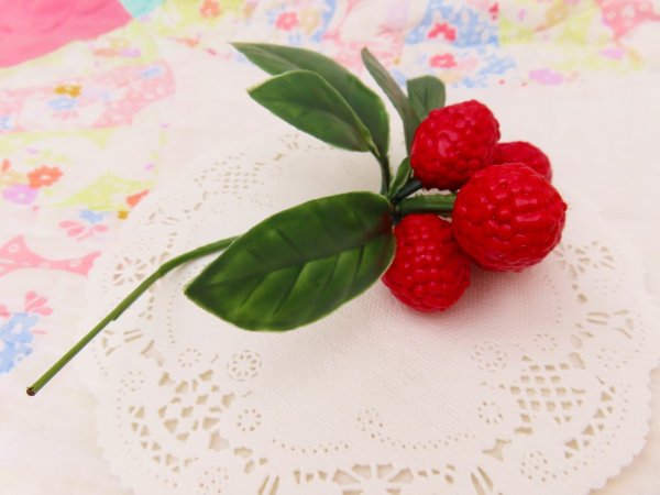 画像4: Raspberry Pick (4)